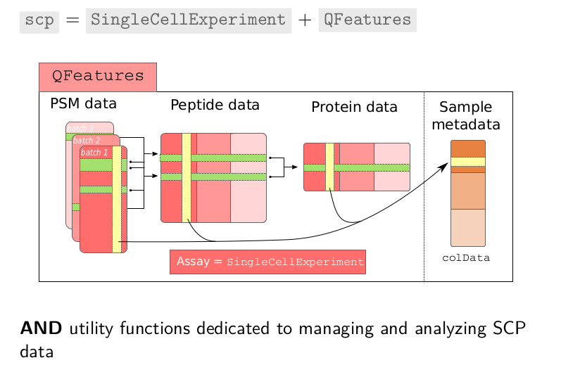 SCP2020-presentation