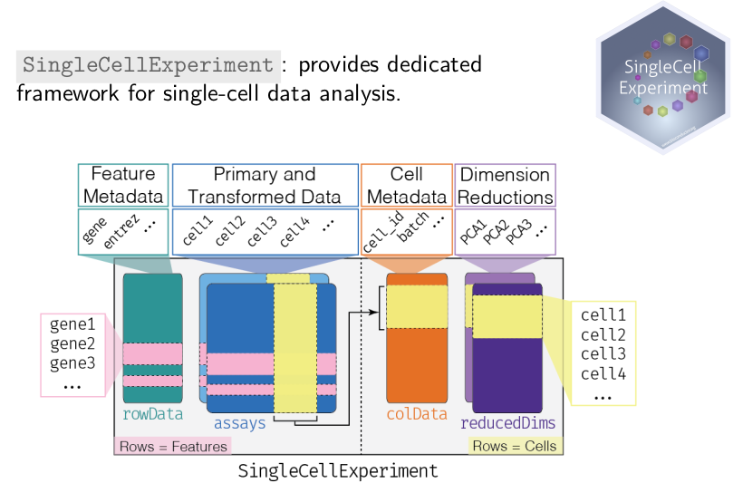 SCP2020-presentation